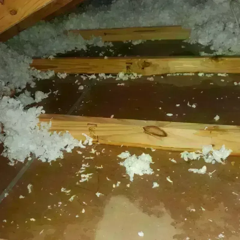 Attic Water Damage in North Boston, NY